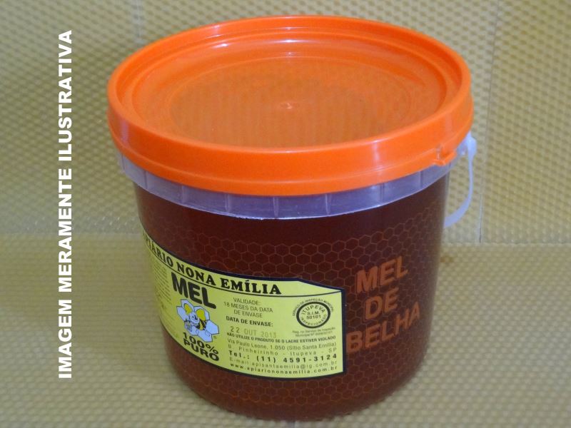 Mel de Laranjeira - 3kg